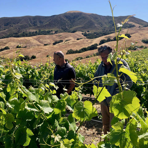 Exprimere Peake Ranch Sta. Rita Hills