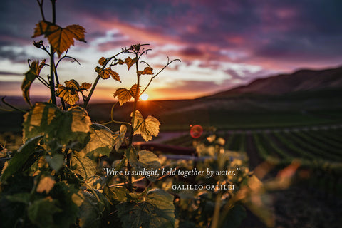 Exprimere vineyard at sunset with quote by Galileo